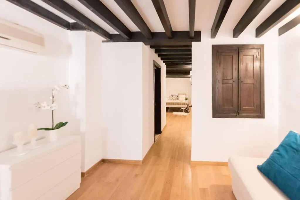 Apartamento Loft En El Corazon De Palma Cerca De La Catedral  PMI